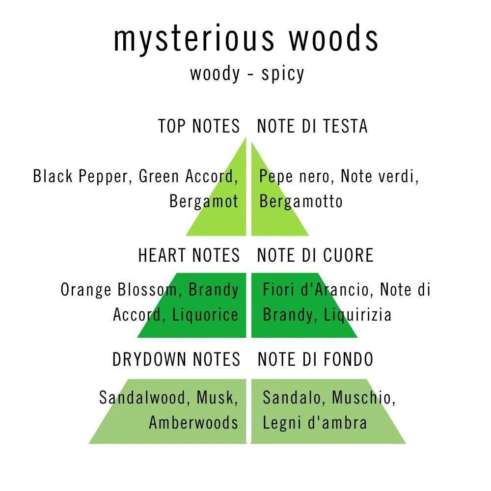 Profumo John Richmond "Mysterious Woods" Eau de Parfum