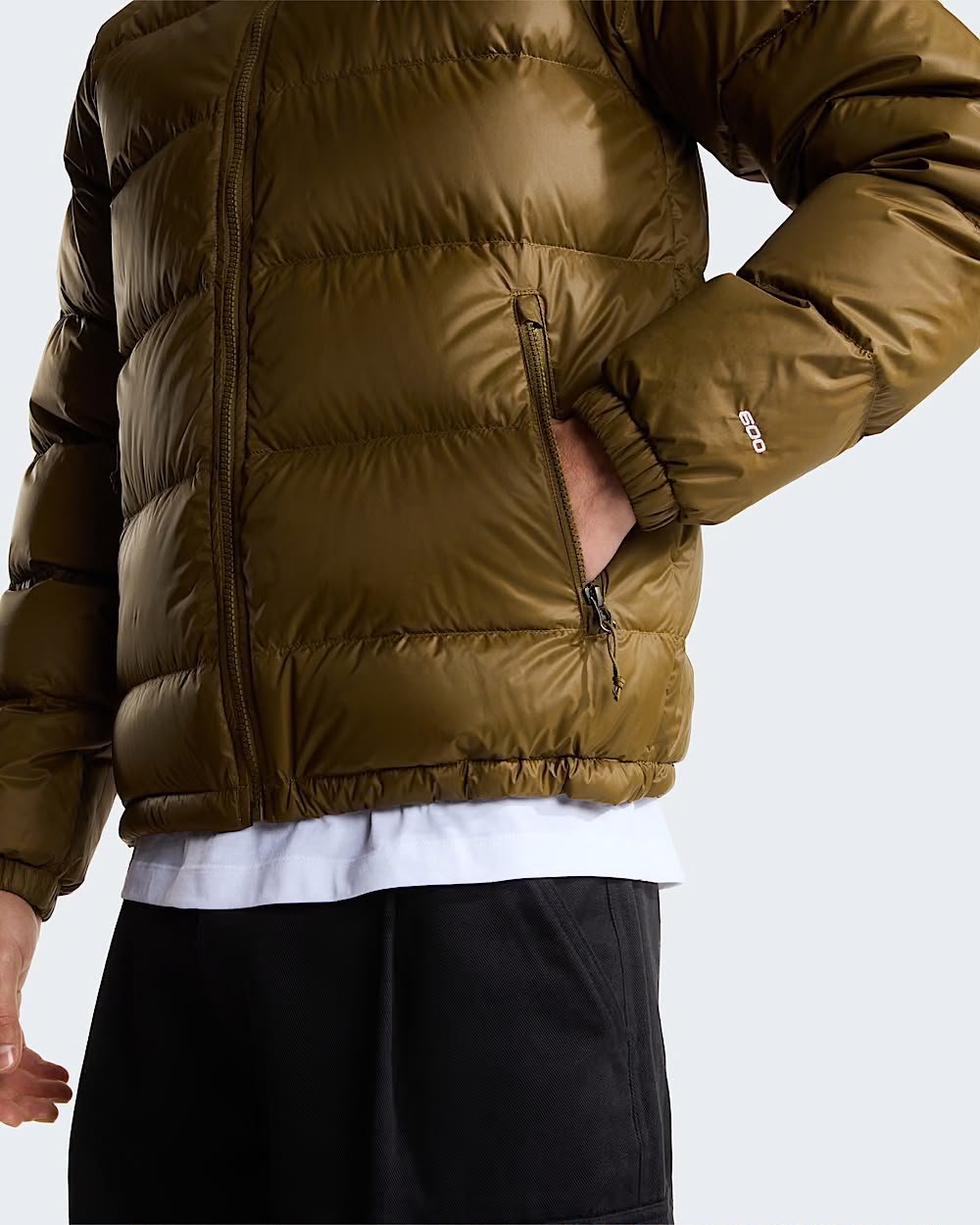 Giubbotto The North Face "Hydrenalite Down" con cappuccio uomo