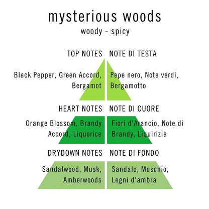 Profumo John Richmond "Mysterious Woods" Eau de Parfum