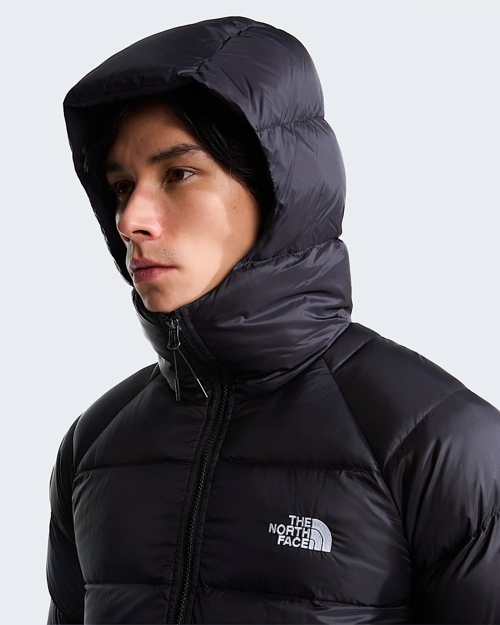 Giubbotto The North Face "Hydrenalite Down" con cappuccio uomo