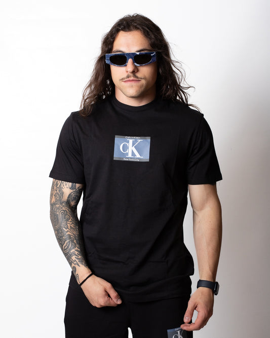T-Shirt Calvin Klein in jersey con stampa logata a contrasto uomo