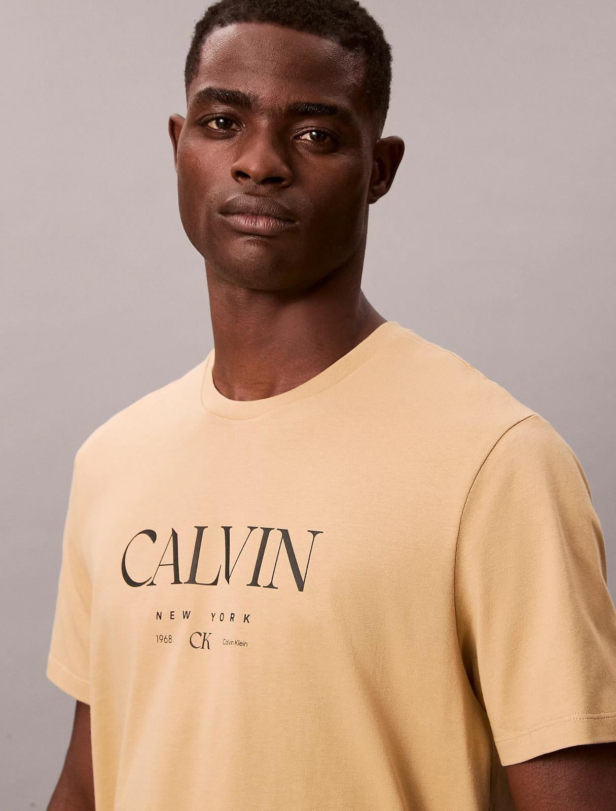 T-Shirt Calvin Klein "Calvin Graphic" uomo