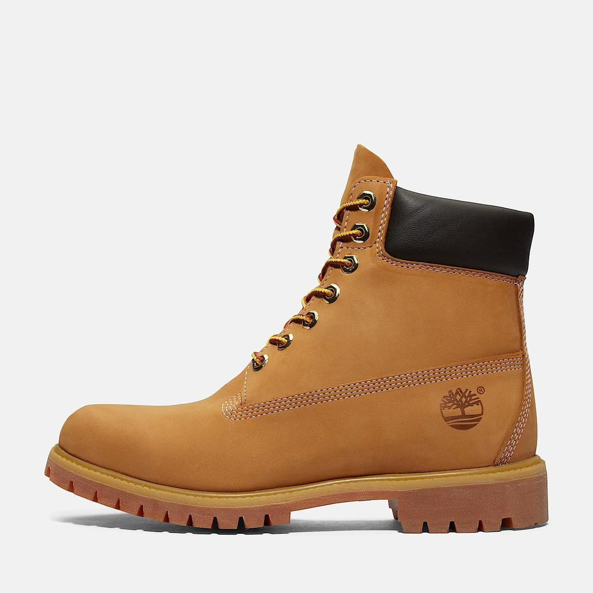 Stivale Timberland impermeabile Premium 6-Inch